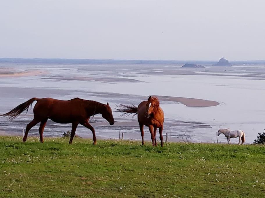 Maison Vue Sur Le Mont Saint Michel Et Sa Baie Champeaux 외부 사진
